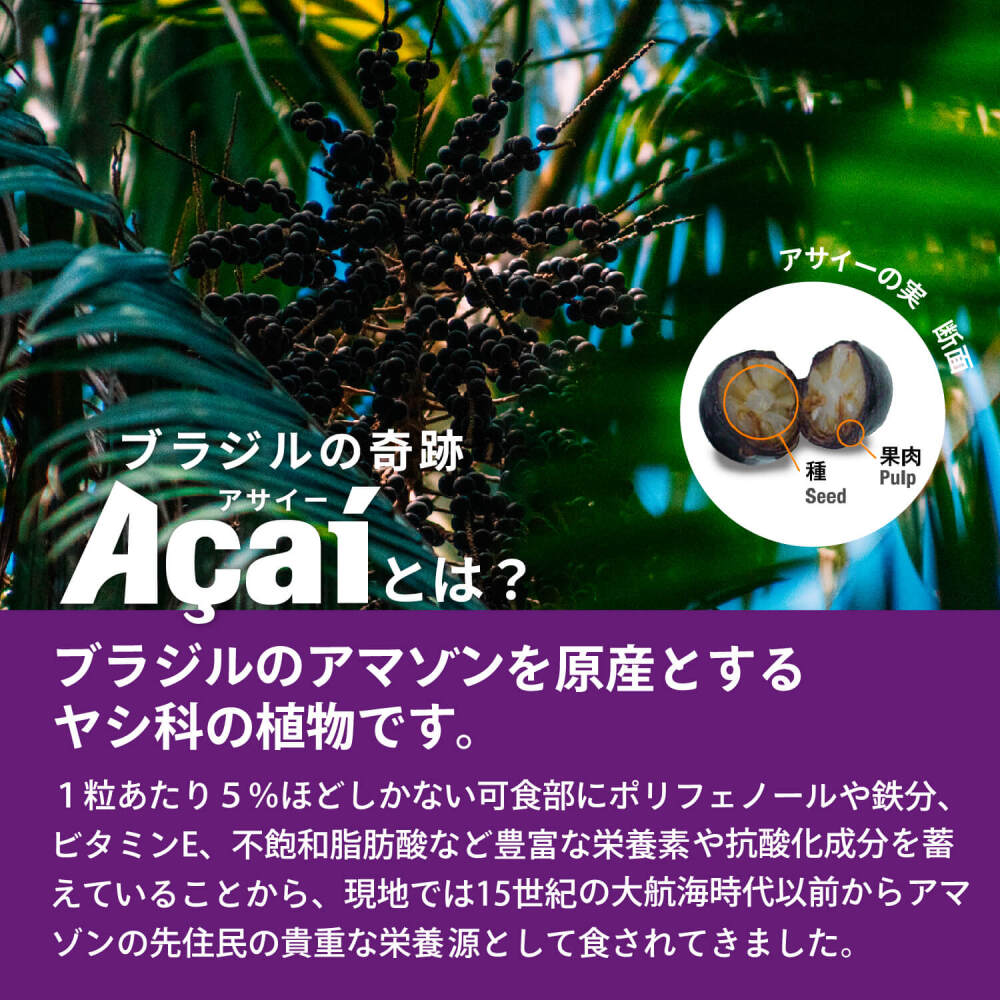 冷凍】フルッタフルッタ アサイーピューレ(ガラナシロップ 砂糖 冷凍】フルッタフルッタ アサイーピューレ(ガラナシロップ 砂糖